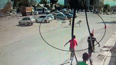 Hatay’ın Hassa ilçesinde, sokak köpeklerinin saldırısına uğrayan iki çocuk, vatandaşların