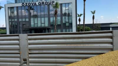 Türkiye’nin önemli tarım merkezlerinden biri olan Amik Ovası’nda, 2025 yılı