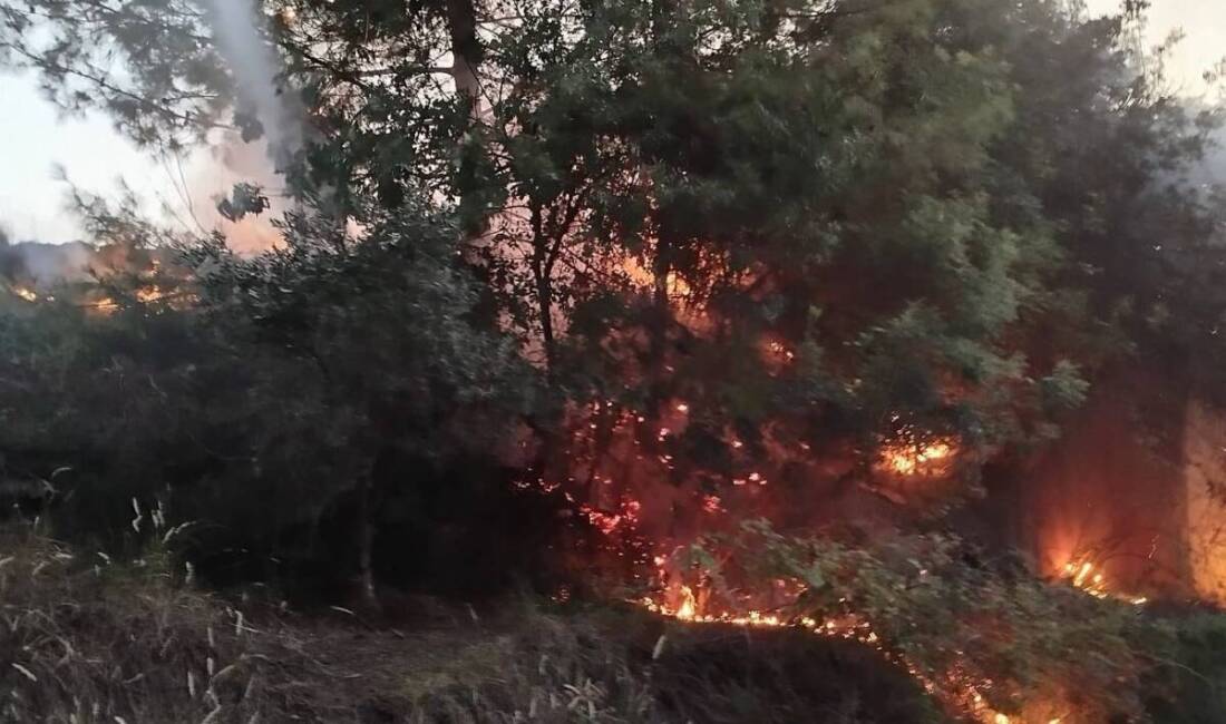   Hatay’ın Dörtyol ilçesinde çıkan orman yangını ekiplerin hızlı müdahalesi