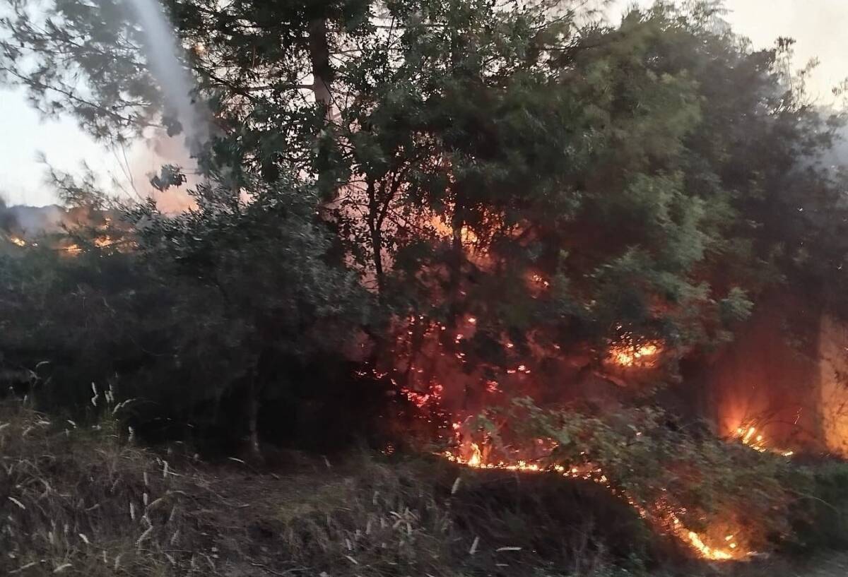 &nbsp; Hatay’ın Dörtyol ilçesinde çıkan orman yangını ekiplerin hızlı müdahalesi
