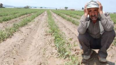 AKP Hükümeti, 2026 yılı için açıkladığı tarım destekleriyle çiftçiyi bir