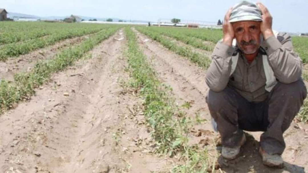 Çiftçi gözden çıkarıldı! Destekler eridi AKP Hükümeti, 2026 yılı için açıkladığı tarım destekleriyle çiftçiyi bir