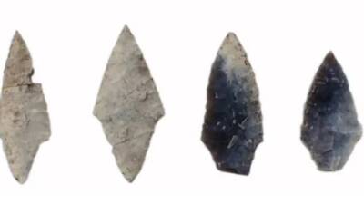 Letonya’nın kuzeyindeki Zvejnieki bölgesinde bulunan 5 bin yıllık bir mezar,