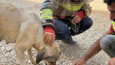 Hatay’ın Antakya ilçesinde minik bir canın düşme tehlikesi, itfaiye ekiplerinin