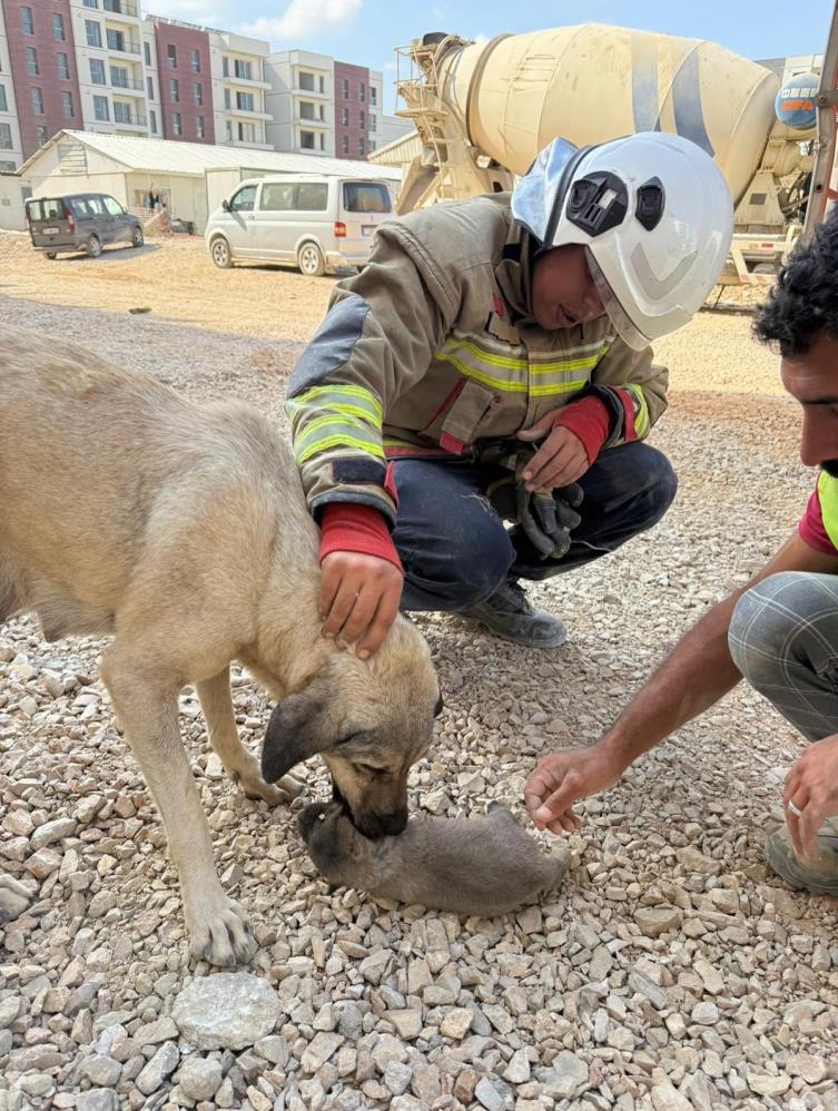 Hatay’ın Antakya ilçesinde minik bir canın düşme tehlikesi, itfaiye ekiplerinin