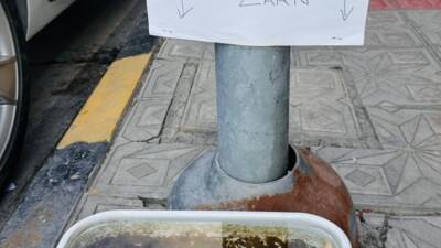 İskenderun’un işlek caddelerinden birinde, sokak hayvanlarına su veren bir esnaf,