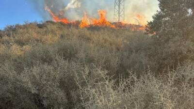 Hatay’ın Samandağ ilçesinde, boş arazi ve depo çadırında çıkan iki