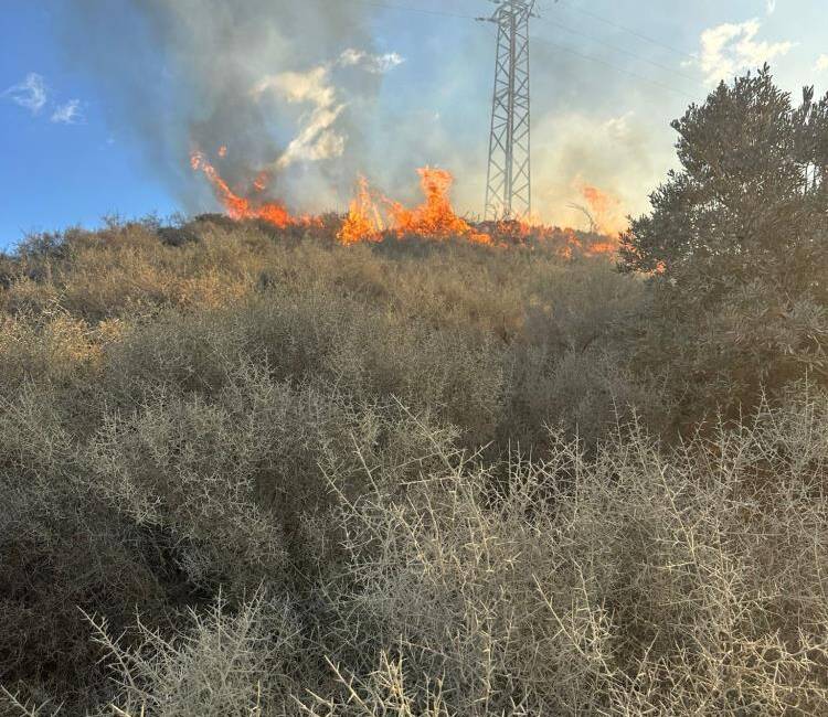 Hatay’ın Samandağ ilçesinde, boş arazi ve depo çadırında çıkan iki