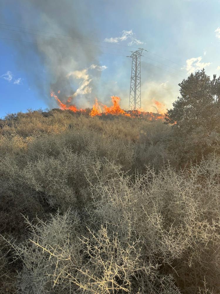 Hatay’ın Samandağ ilçesinde, boş arazi ve depo çadırında çıkan iki