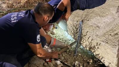 Hatay’ın Antakya ilçesi Gülderen Mahallesi’nde beton boruya sıkışan kedi, itfaiye
