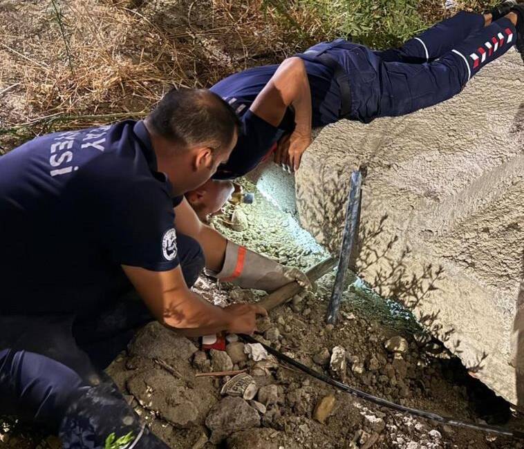 Hatay’ın Antakya ilçesi Gülderen Mahallesi’nde beton boruya sıkışan kedi, itfaiye
