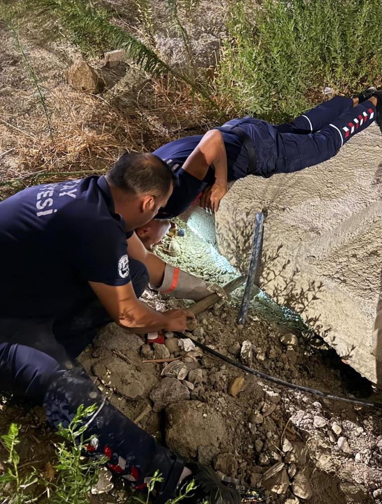 Hatay’ın Antakya ilçesi Gülderen Mahallesi’nde beton boruya sıkışan kedi, itfaiye