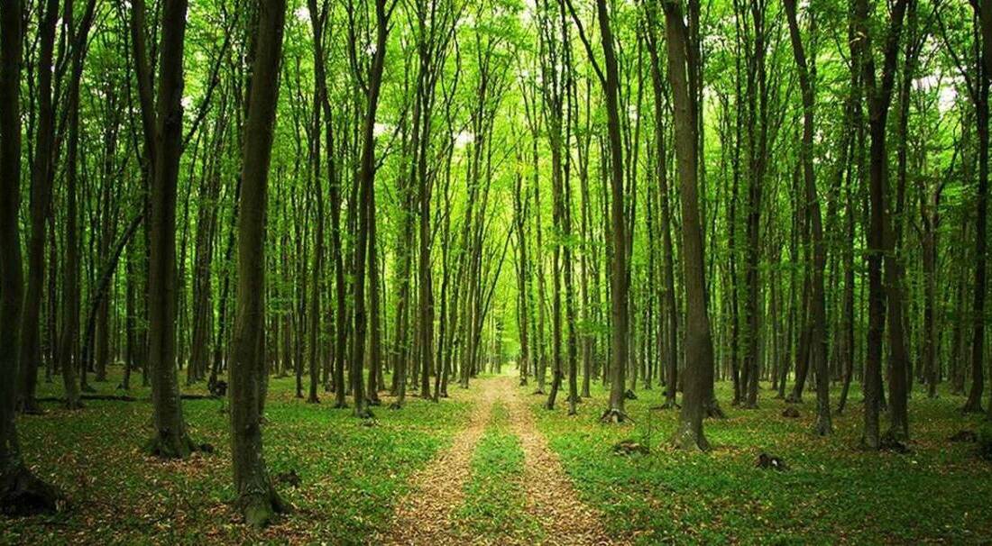 Made in Russia girişimi kapsamında, 25-26 Eylül tarihlerinde TÜYAP’ta düzenlenecek