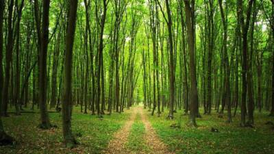 Made in Russia girişimi kapsamında, 25-26 Eylül tarihlerinde TÜYAP’ta düzenlenecek