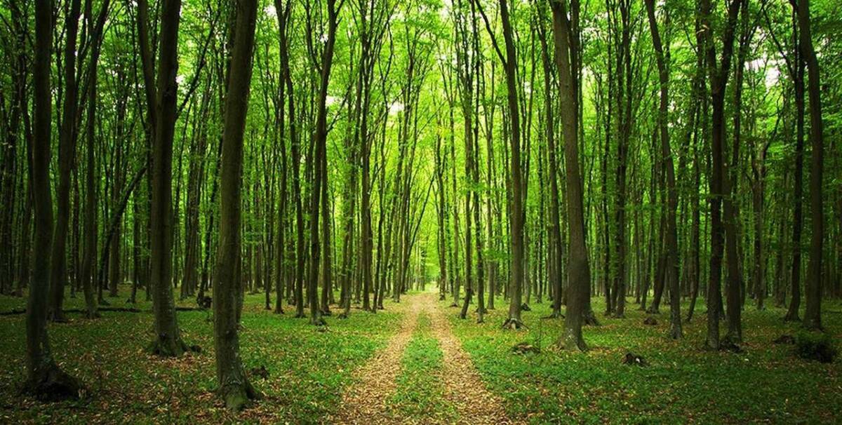 Made in Russia girişimi kapsamında, 25-26 Eylül tarihlerinde TÜYAP’ta düzenlenecek