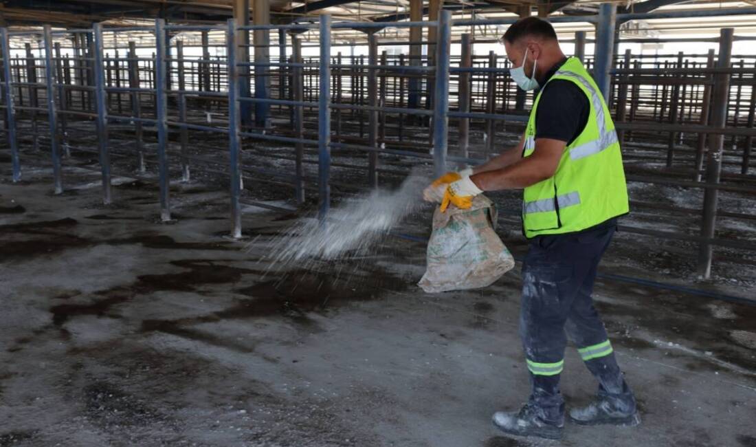 Hatay Büyükşehir Belediyesi (HBB), toplum, çevre ve hayvan sağlığını tehdit