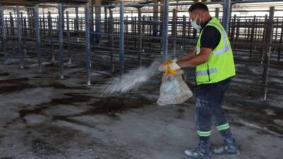 Hatay Büyükşehir Belediyesi (HBB), toplum, çevre ve hayvan sağlığını tehdit