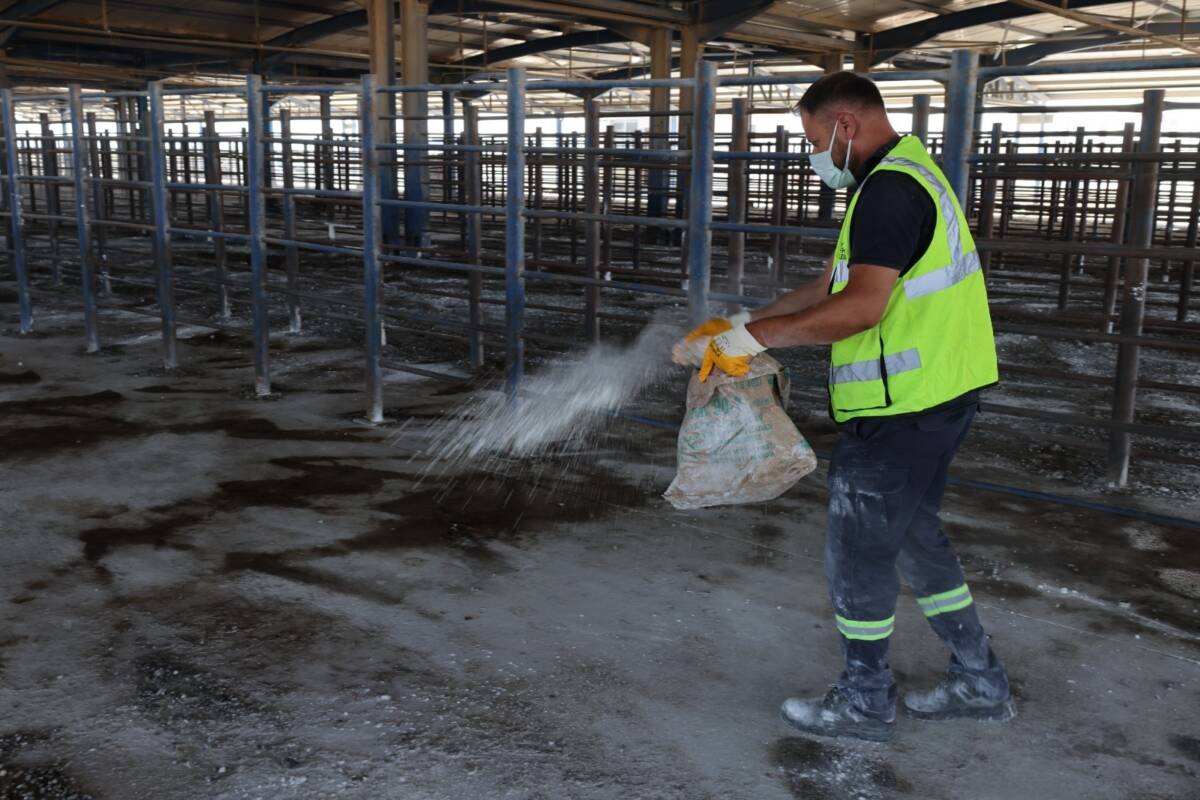 Hatay Büyükşehir Belediyesi (HBB), toplum, çevre ve hayvan sağlığını tehdit