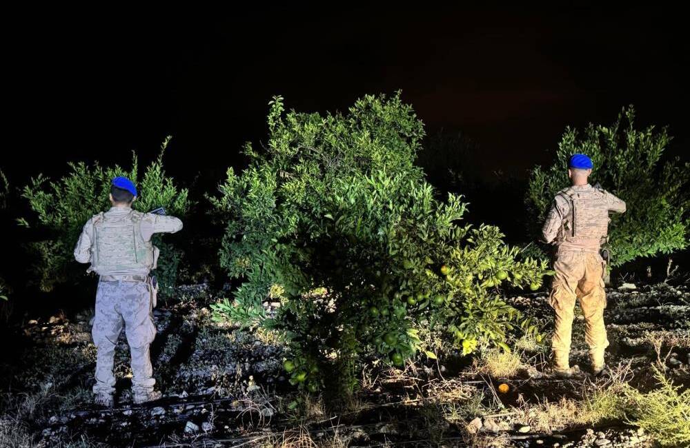 Hatay’ın Erzin ilçesinde narenciye üretiminin güvenliği için jandarma ekipleri geniş