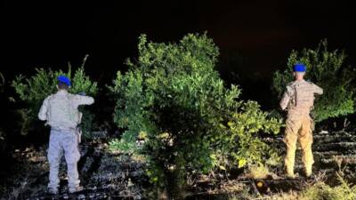 Hatay’ın Erzin ilçesinde narenciye üretiminin güvenliği için jandarma ekipleri geniş