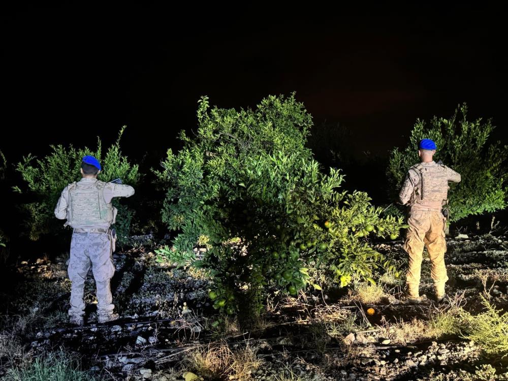 Hatay’ın Erzin ilçesinde narenciye üretiminin güvenliği için jandarma ekipleri geniş