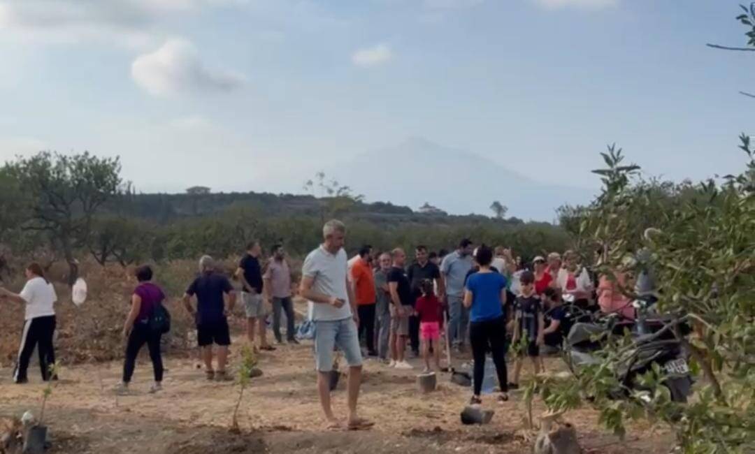 Hatay’ın Samandağ ilçesi Kurtderesi Mahallesi’nde, izinsiz yapılan ağaç sökümlerine karşı