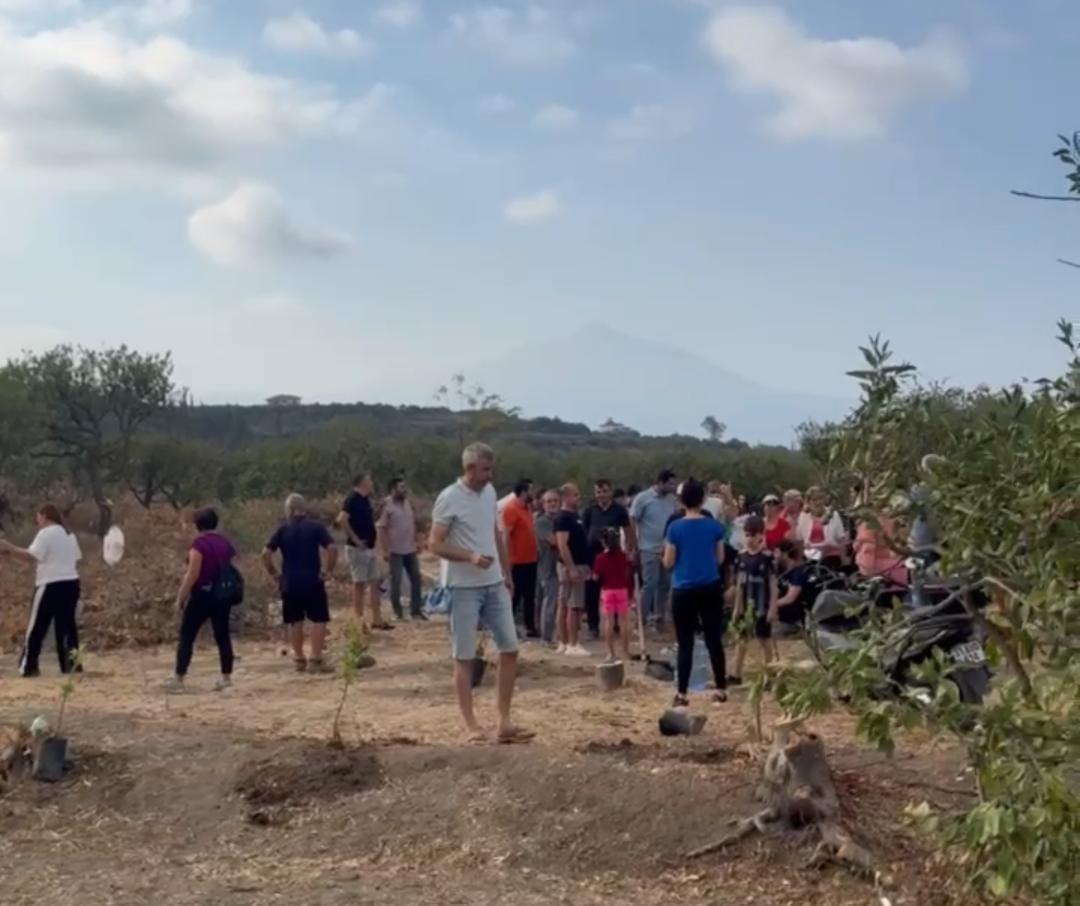 Hatay’ın Samandağ ilçesi Kurtderesi Mahallesi’nde, izinsiz yapılan ağaç sökümlerine karşı
