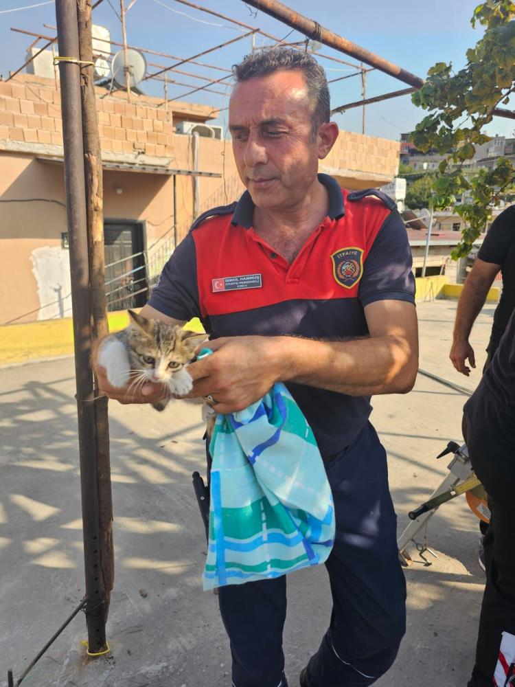 Hatay’ın İskenderun ilçesinde apartman boşluğuna düşen yavru kedi, itfaiye ekiplerinin
