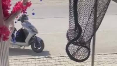 Hatay’ın Samandağ ilçesinde, hava sıcaklıklarının artmasıyla serinlemek isteyen bir yılan,