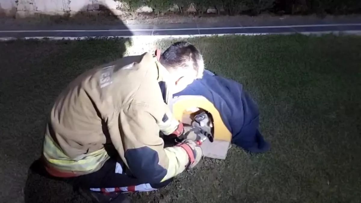 Hatay’ın Arsuz ilçesinde balık misinasına dolanarak yaralanan kedi, itfaiye ekiplerinin