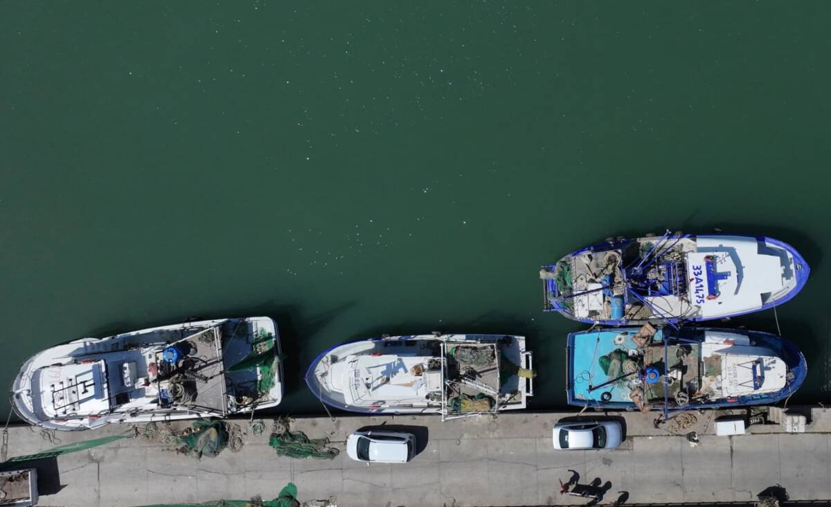 Hatay’da av yasağının sona ereceği 16 Eylül’de “vira bismillah” demeye