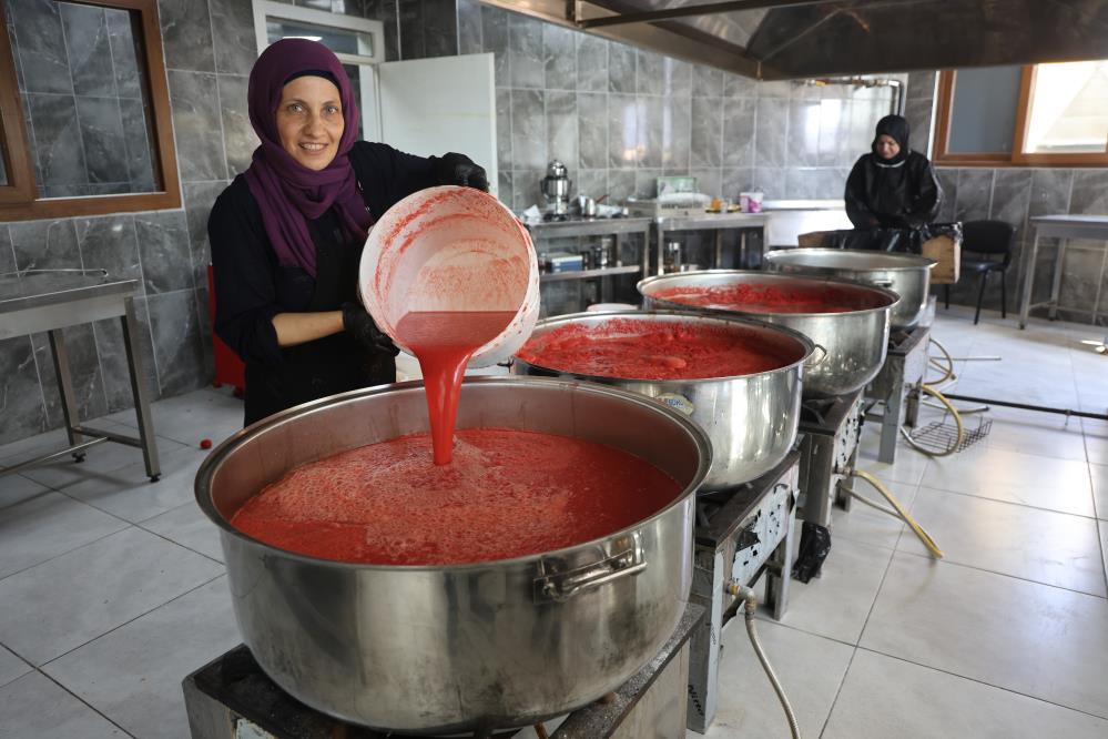 Hatay’ın Altınözü ilçesinde, deprem sonrası ekonomik kalkınmaya destek olmak amacıyla