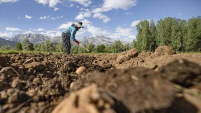 Tarım ve Orman Bakanı İbrahim Yumaklı, çiftçilere yapılacak destekleme ödemeleri
