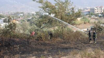 Hatay’ın Defne ilçesine bağlı Ballıöz Mahallesi’nde bir evin bahçesinde çıkan