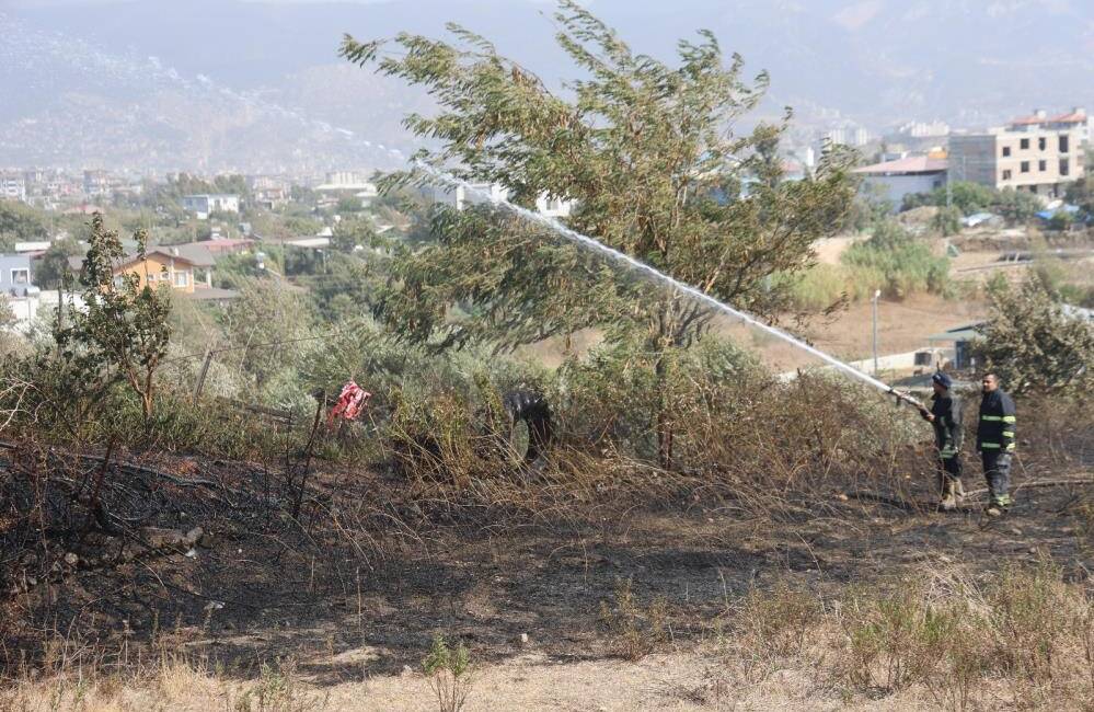 Hatay’ın Defne ilçesine bağlı Ballıöz Mahallesi’nde bir evin bahçesinde çıkan