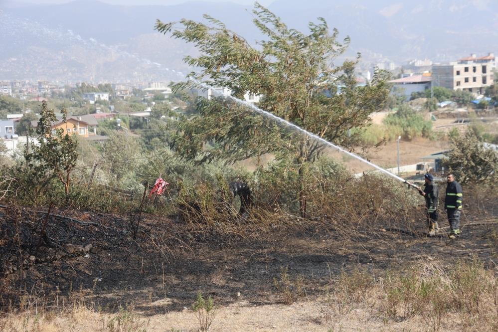 Hatay’ın Defne ilçesine bağlı Ballıöz Mahallesi’nde bir evin bahçesinde çıkan