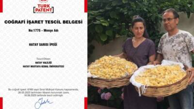 Hatay’ın kaybolmaya yüz tutmuş kadim değerlerinden biri olan Hatay Sarısı