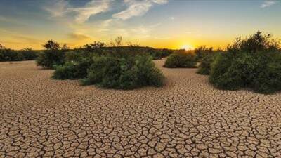 Hatay Orman Bölge Müdürlüğü, iklim değişikliğinin etkilerine karşı Türkiye’nin direncini