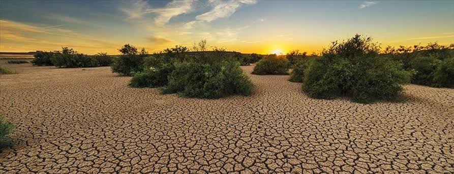 Hatay Orman Bölge Müdürlüğü, iklim değişikliğinin etkilerine karşı Türkiye’nin direncini