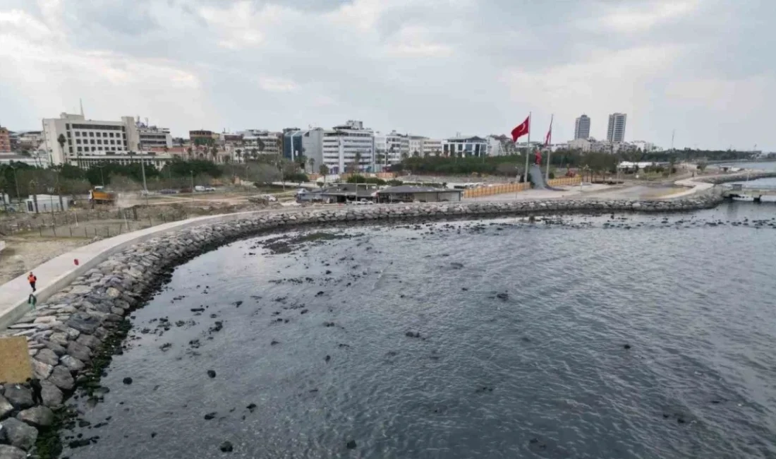 İskenderun Körfezi, artan çevresel baskılar ve sanayi kaynaklı kirlilik nedeniyle