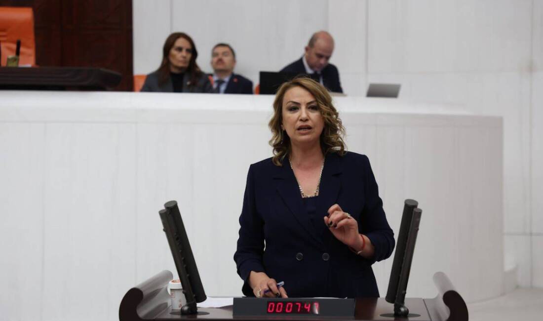 CHP Hatay Milletvekili Nermin Yıldırım Kara, deprem bölgesinde konteynerlerde hizmet