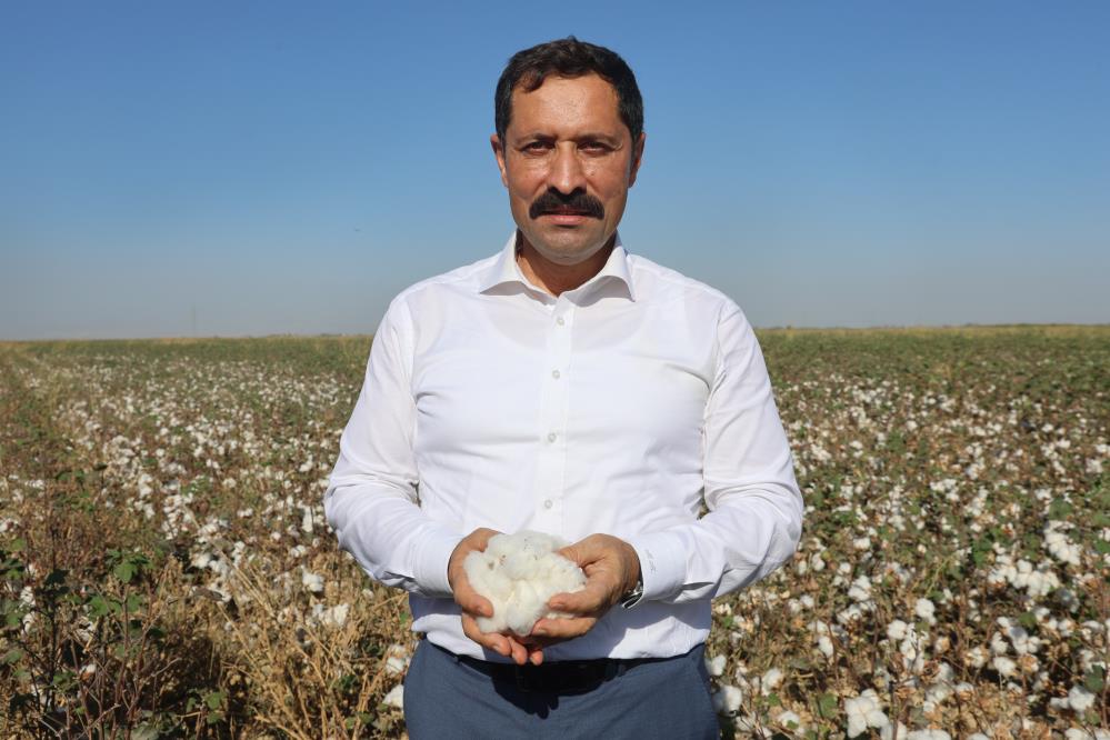 &nbsp; Hatay’ın bereketli toprakları olan Amik Ovası’nda beyaz altın olarak