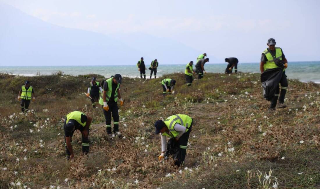 Hatay Büyükşehir Belediyesi (HBB), Samandağ Meydan Sahili ve Arsuz Kale