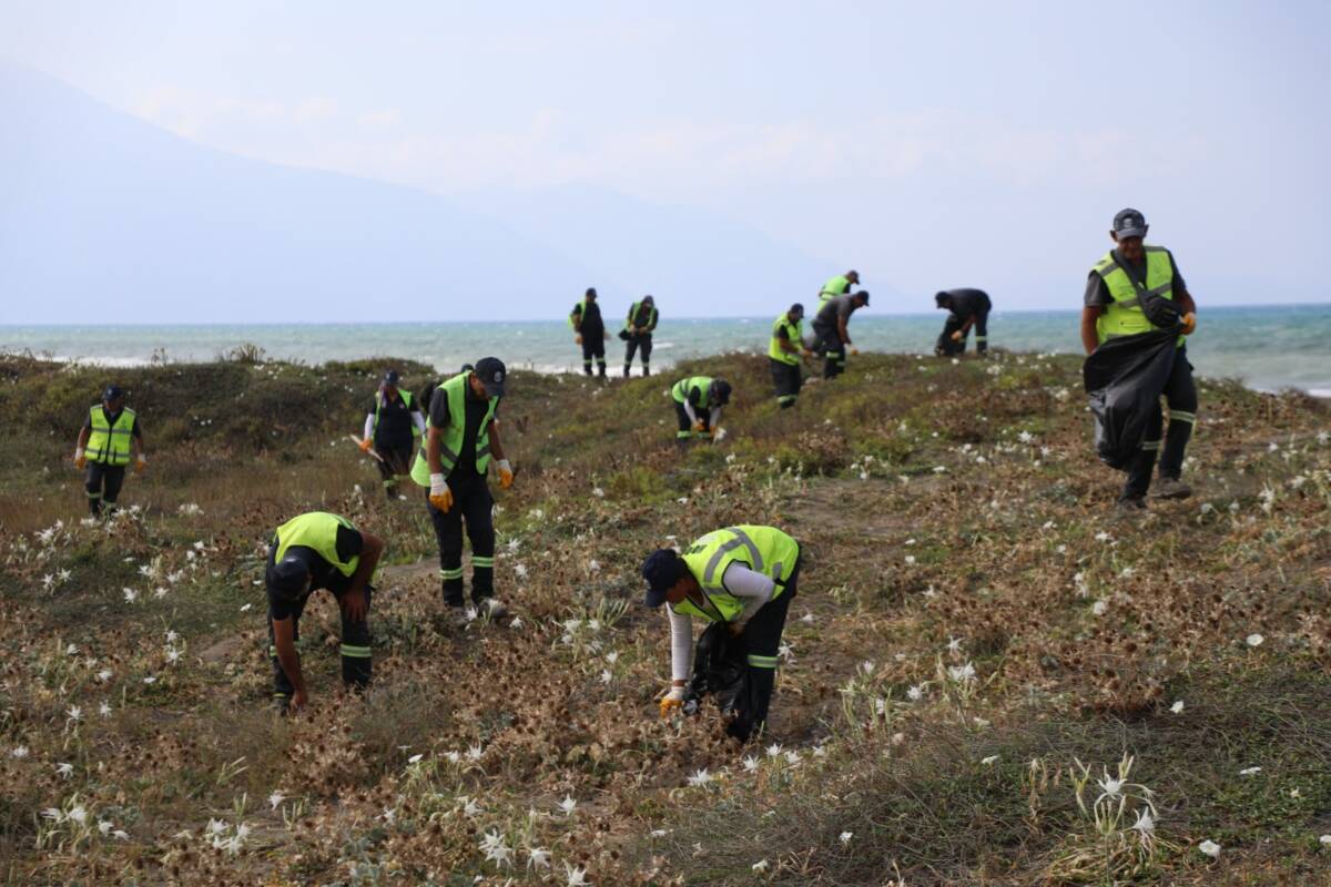 Hatay Büyükşehir Belediyesi (HBB), Samandağ Meydan Sahili ve Arsuz Kale