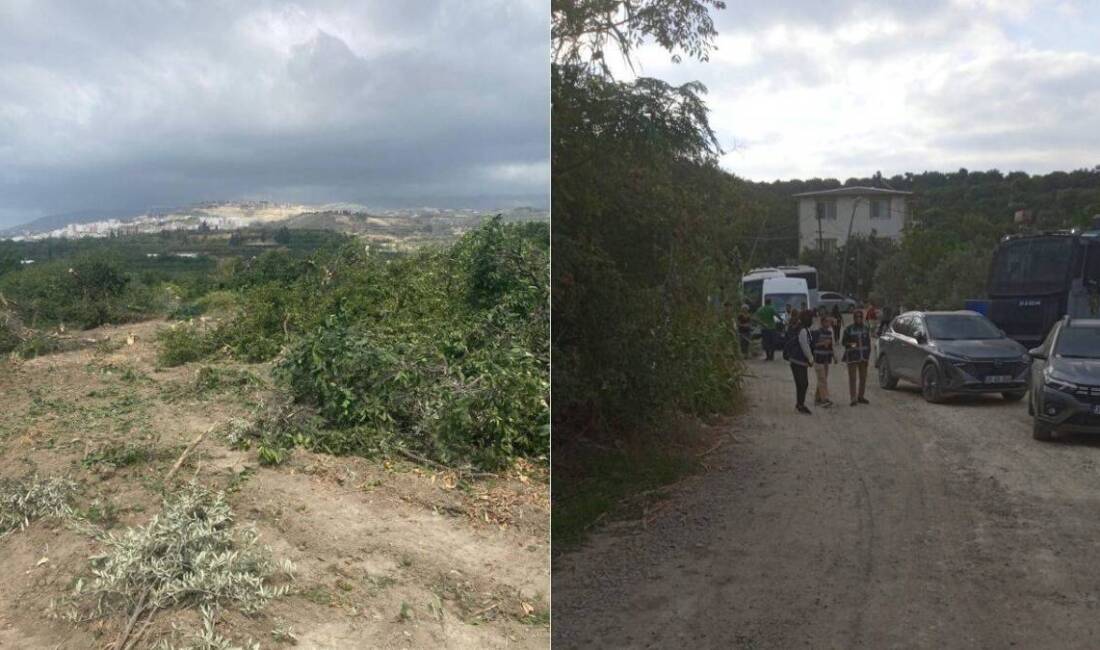 Deprem sonrası yeniden yapılaşma çalışmaları, tarım arazileri ve köylü hakları