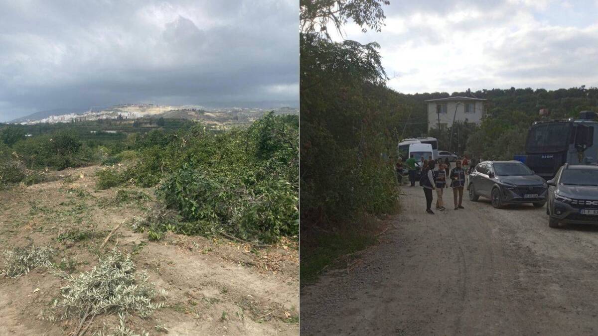 Deprem sonrası yeniden yapılaşma çalışmaları, tarım arazileri ve köylü hakları