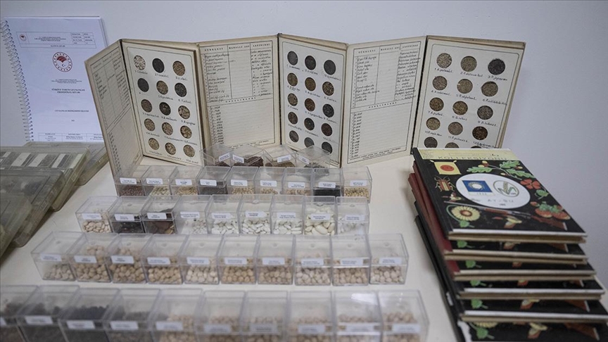 Türkiye’de 122 Bin 750 Tohum Örneği Korunuyor Tarım ve Orman Bakanlığından alınan bilgilere göre, Türkiye’nin zengin bitki