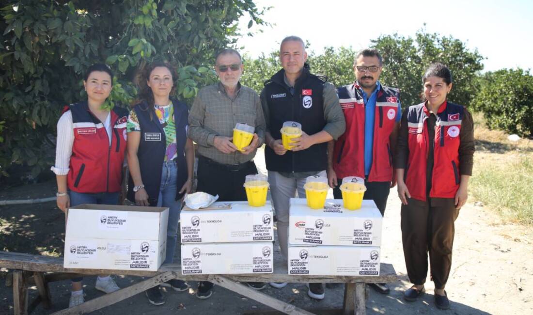 Hatay Büyükşehir Belediyesi (HBB), İl Tarım ve Orman Müdürlüğü iş