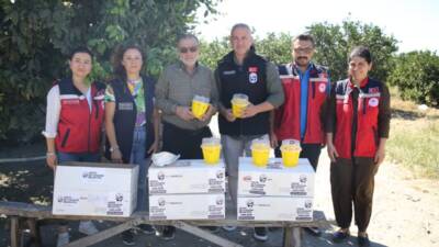 Hatay Büyükşehir Belediyesi (HBB), İl Tarım ve Orman Müdürlüğü iş