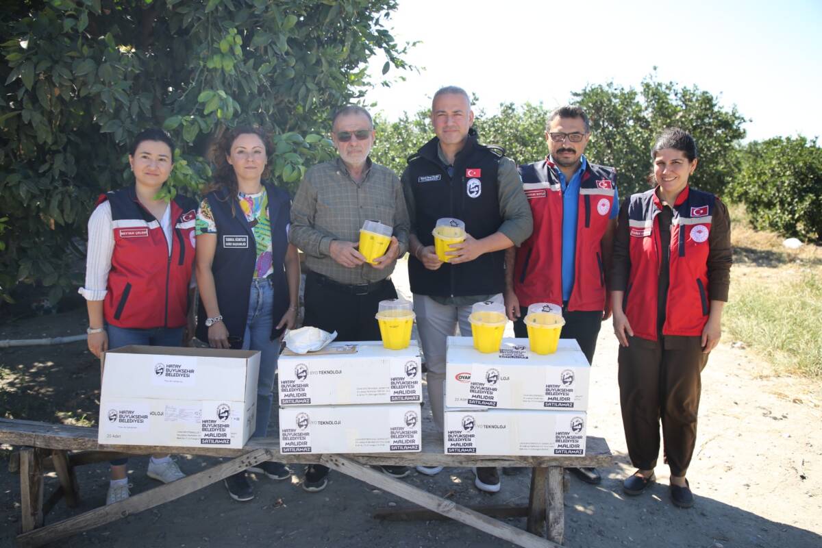 Hatay Büyükşehir Belediyesi (HBB), İl Tarım ve Orman Müdürlüğü iş